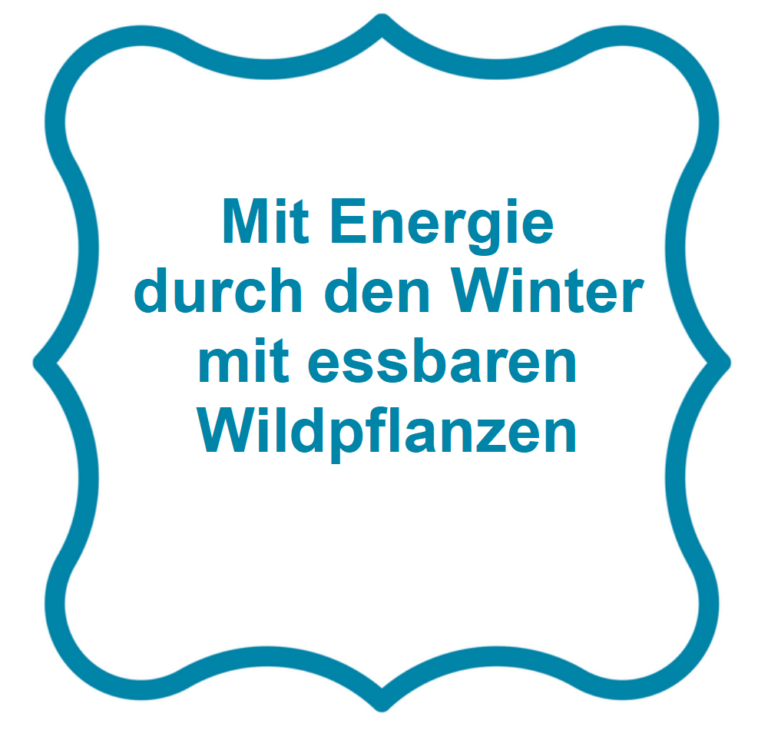 Mit Energie durch den Winter mit essbaren Wildpflanzen