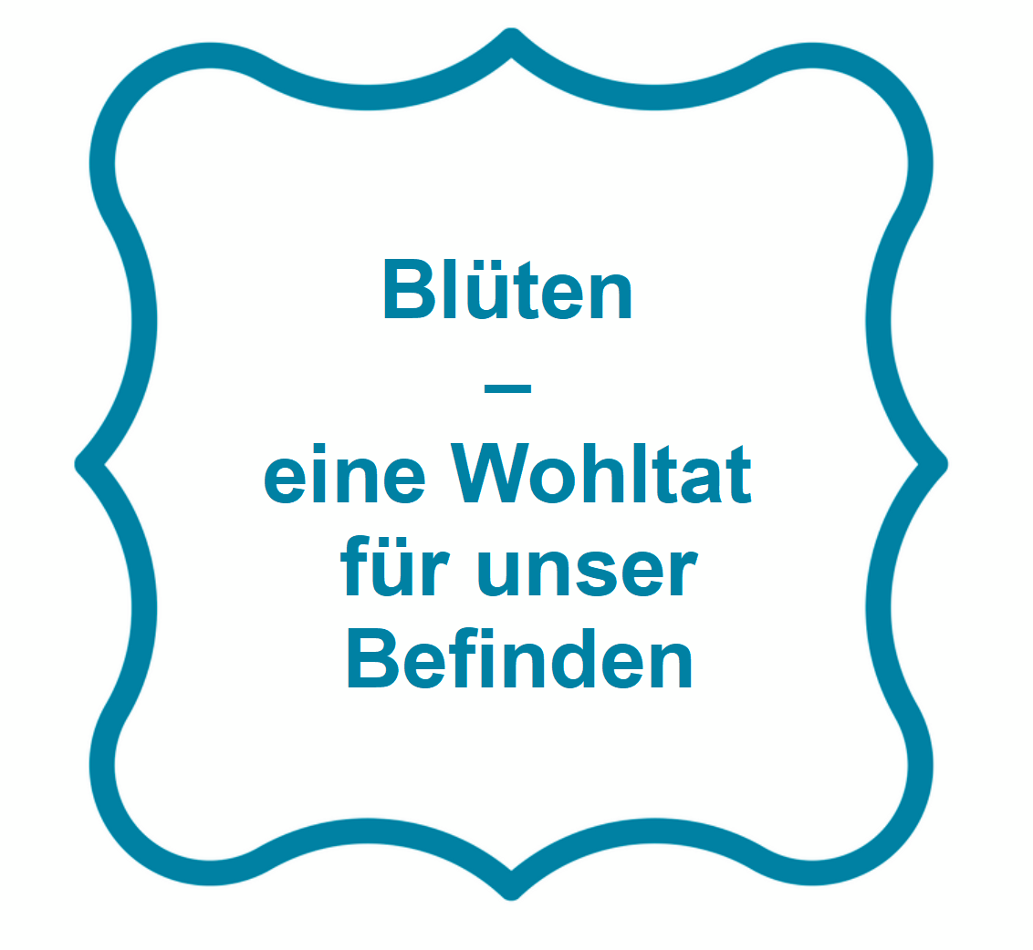 Blüten -- eine Wohltat für unser Befinden