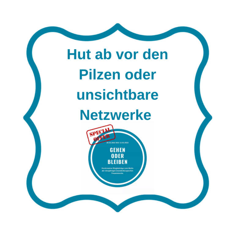 Hut ab vor den Pilzen oder unsichtbare Netzwerke 