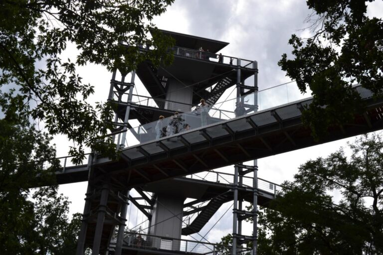 Sommerfest in Beelitz